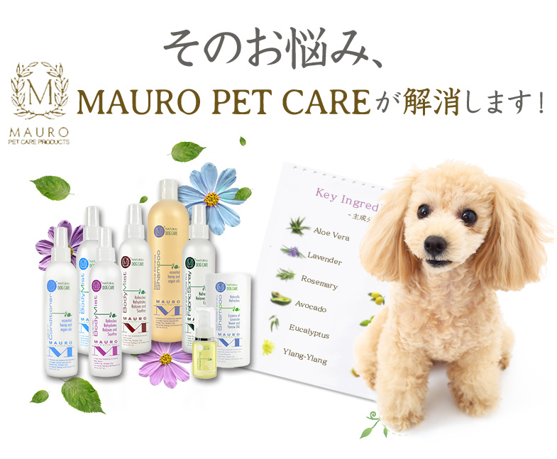 日本初上陸 Mauro Pet Care マウロペットケア の日本総代理店 犬の美容室noa ノア